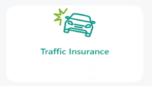 Trafic Insurance 
